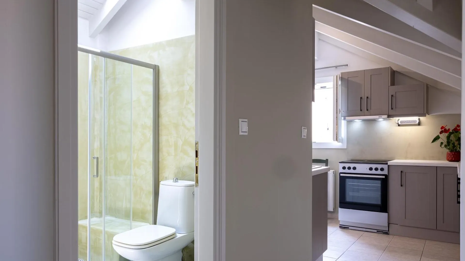 Domus City Apartment Argostoli