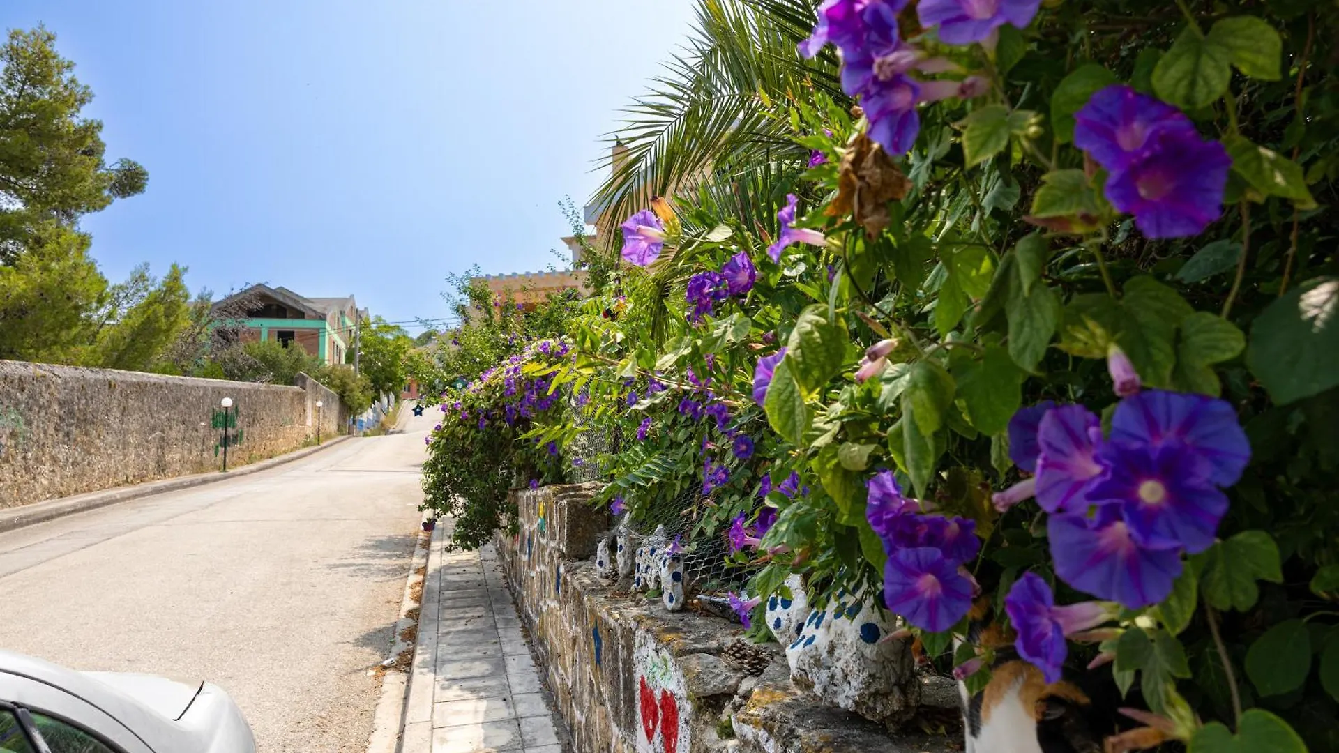 Domus City Apartment Argostoli